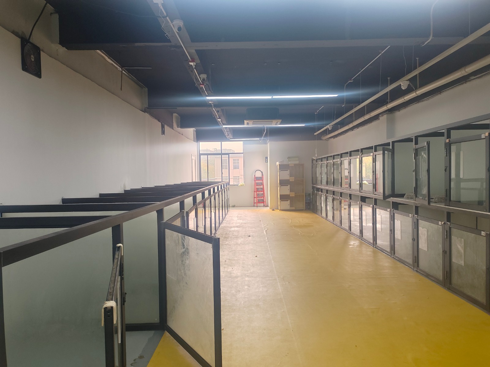 松江万达附近商务园区出租可餐饮可办公宠物美容养生